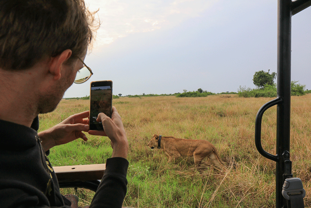 Serengeti Wildlife Safari